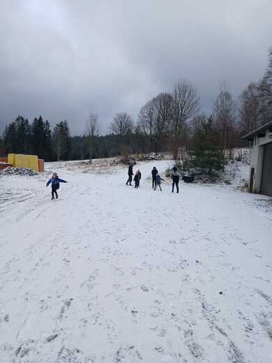 WhatsApp Image 2025-03-17 at 15.00.10.jpeg
